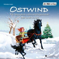 Ostwind. Ein besonderes Weihnachtsgeschenk & Seehunde in Not, 1 Audio-CD
