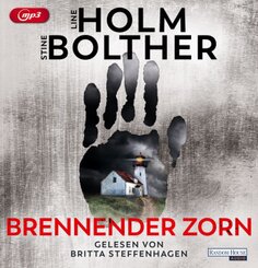 Brennender Zorn, 2 Audio-CD, 2 MP3