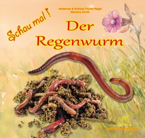 Schau mal! Der Regenwurm