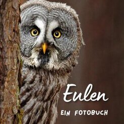 Eulen