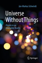 Universe Without Things