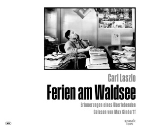 Ferien am Waldsee, Audio-CD, MP3