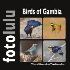 Birds of Gambia