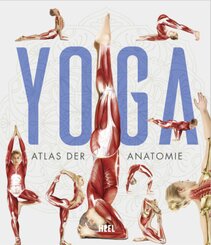 YOGA - Atlas der Anatomie