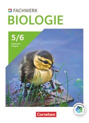 Fachwerk Biologie - Allgemeine Ausgabe 2023 - 5./6. Schuljahr