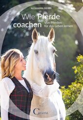 Wie Pferde coachen