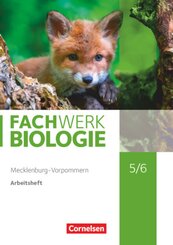 Fachwerk Biologie - Mecklenburg-Vorpommern und Thüringen 2023 - 5./6. Schuljahr