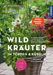 Wildkräuter in Töpfen & Kübeln