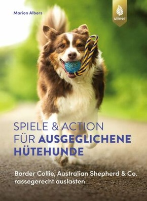 Spiele und Action für ausgeglichene Hütehunde