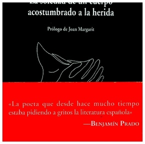 La soledad de un cuerpo acostumbrado a la herida