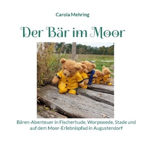 Der Bär im Moor