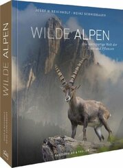Wilde Alpen