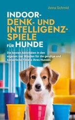 Indoor-Denk- und Intelligenzspiele für Hunde