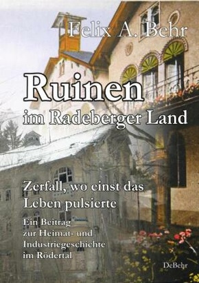 Ruinen im Radeberger Land - Zerfall, wo einst das Leben pulsierte - Ein Beitrag zur Heimat- und Industriegeschichte im R