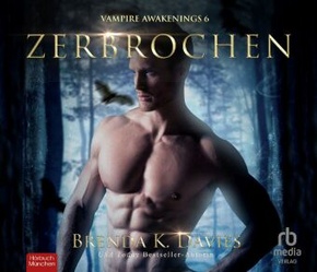 Zerbrochen, Audio-CD, MP3