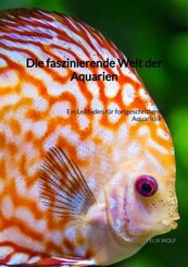 Die faszinierende Welt der Aquarien
