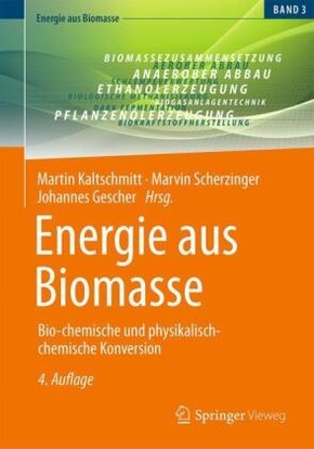 Energie aus Biomasse