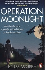 Operation Moonlight