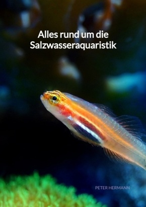 Alles rund um die Salzwasseraquaristik