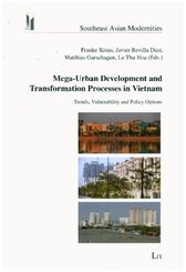 Mega-Urban Development and Transformation Processes in Vietnam