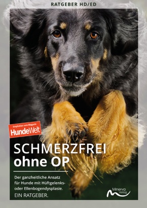 Schmerzfrei ohne OP