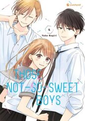 Those Not-So-Sweet Boys - Band 4
