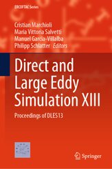 Direct and Large Eddy Simulation XIII