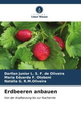 Erdbeeren anbauen