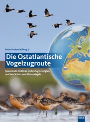 Die Ostatlantische Vogelzugroute