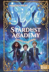 Stardust Academy - Hüter der Sterne