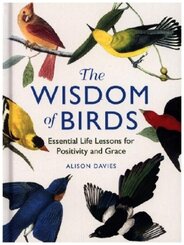 The Wisdom of Birds