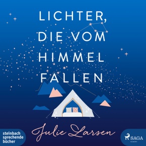 Lichter, die vom Himmel fallen, 1 Audio-CD, MP3