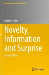 Novelty, Information and Surprise