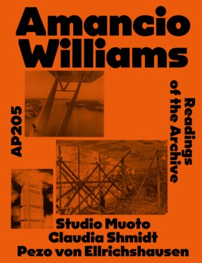 AP205 Amancio Williams