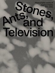 Zygmunt Rytka: Stones, Ants, and Television