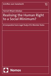 Realising the Human Right to a Social Minimum?