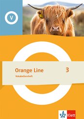 Orange Line 3