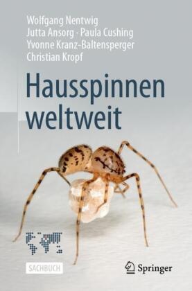 Hausspinnen weltweit