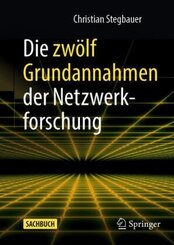 Die zwölf Grundannahmen der Netzwerkforschung