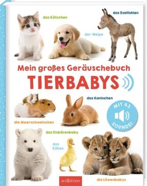 Mein großes Geräuschebuch - Tierbabys