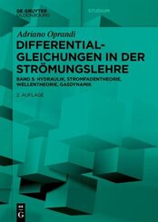 Differentialgleichungen in der Strömungslehre