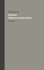Werke und Nachla&szlig;. Kritische Gesamtausgabe