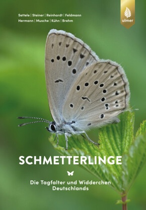 Schmetterlinge