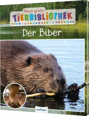 Meine große Tierbibliothek: Der Biber