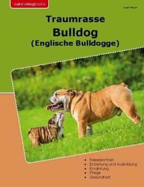 Traumrasse Bulldog