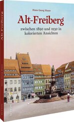 Alt-Freiberg in Farbe