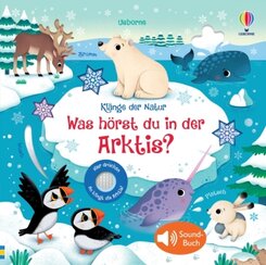 Klänge der Natur: Was hörst du in der Arktis?