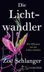 Die Lichtwandler