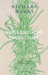 Uneigentliche Landschaft