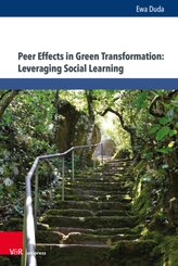 Peer Effects in Green Transformation: Leveraging Social Learning